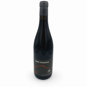 LOIRE SAINT POURCAIN ROUGE 2023 « L&rsquo;INSTANT T » LES TERRES D&rsquo;OCRE