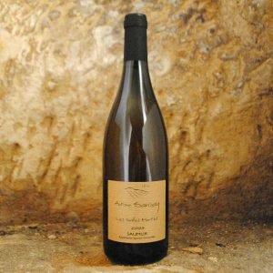 Saumur – Les Salles Martin 2023 – Antoine Sanzay