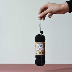 Le Saucisson aux myrtilles de Haute-Savoie